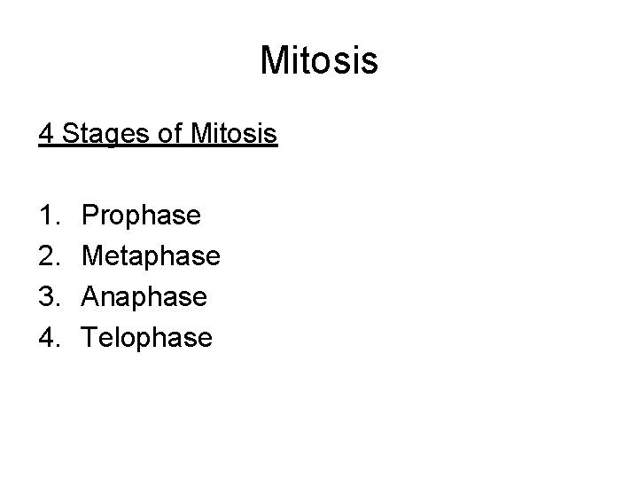 Mitosis 4 Stages of Mitosis 1. 2. 3. 4. Prophase Metaphase Anaphase Telophase 