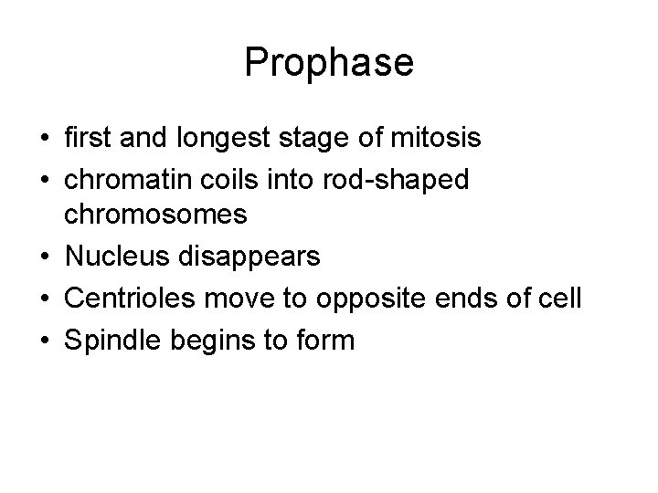 Prophase • first and longest stage of mitosis • chromatin coils into rod-shaped chromosomes
