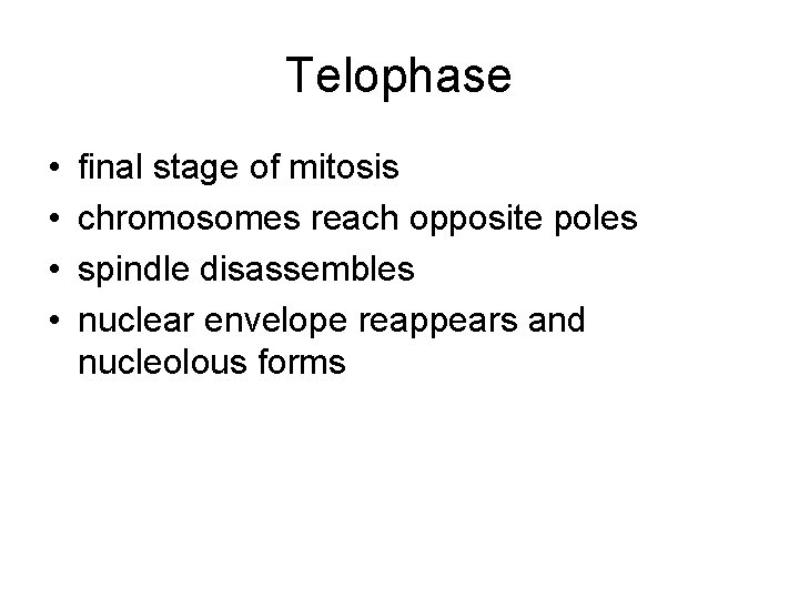 Telophase • • final stage of mitosis chromosomes reach opposite poles spindle disassembles nuclear