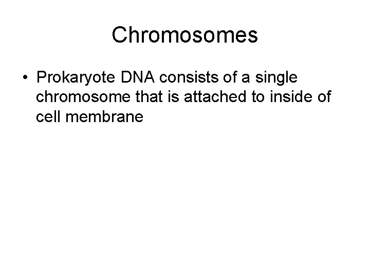 Chromosomes • Prokaryote DNA consists of a single chromosome that is attached to inside