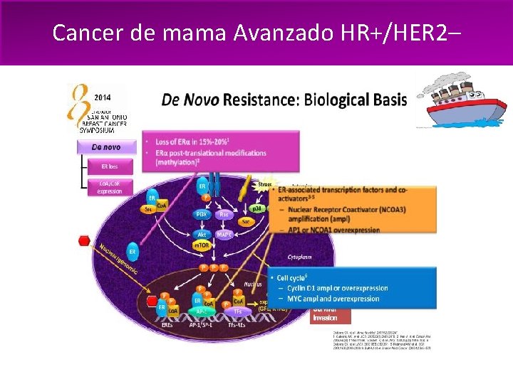 Cancer de mama Avanzado HR+/HER 2– 