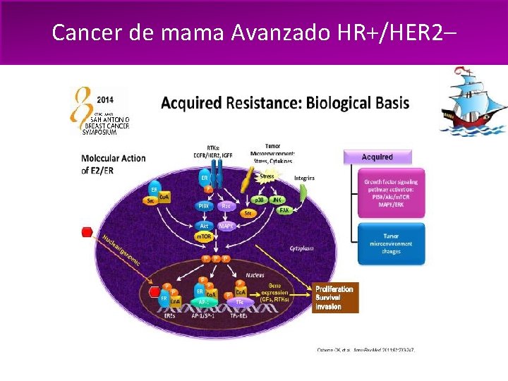 Cancer de mama Avanzado HR+/HER 2– 