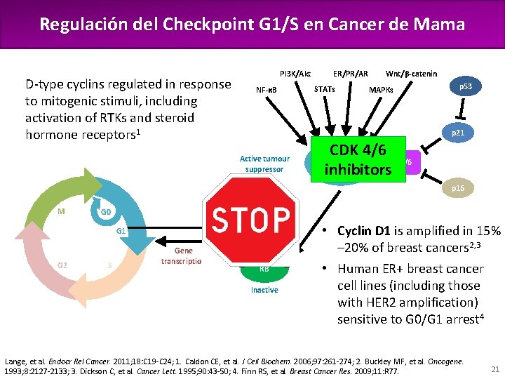 Regulación del Checkpoint G 1/S en Cancer de Mama Pl 3 K/Akt D-type cyclins