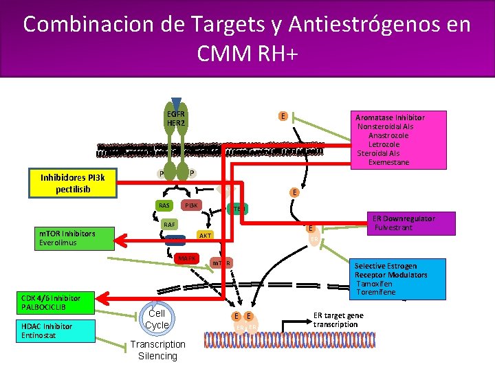 Current Treatment of HR-Positive, HER 2 -Negative Metastatic Breast Cancer Combinacion de Targets y