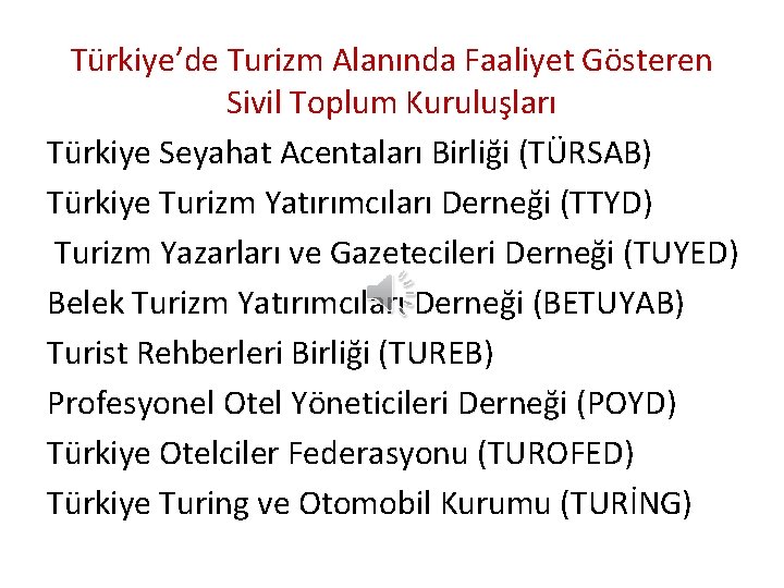 Türkiye’de Turizm Alanında Faaliyet Gösteren Sivil Toplum Kuruluşları Türkiye Seyahat Acentaları Birliği (TÜRSAB) Türkiye
