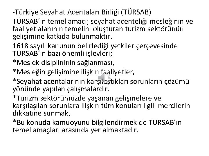 -Türkiye Seyahat Acentaları Birliği (TÜRSAB) TÜRSAB’ın temel amacı; seyahat acenteliği mesleğinin ve faaliyet alanının