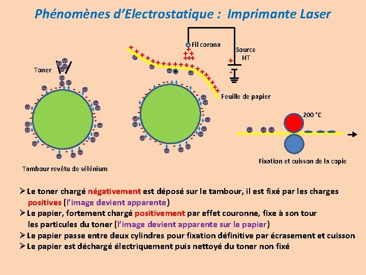 Phénomènes d’Electrostatique : Imprimante Laser ++ Toner + - -+ + - - +