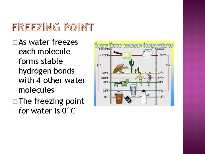 � As water freezes each molecule forms stable hydrogen bonds with 4 other water