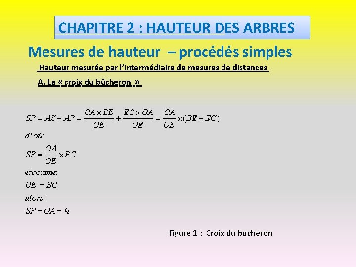 CHAPITRE 2 : HAUTEUR DES ARBRES Mesures de hauteur – procédés simples Hauteur mesurée