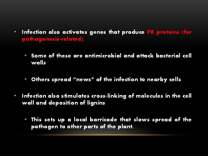  • Infection also activates genes that produce PR proteins (for pathogenesis-related) • Some