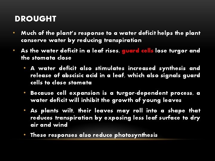 DROUGHT • Much of the plant’s response to a water deficit helps the plant
