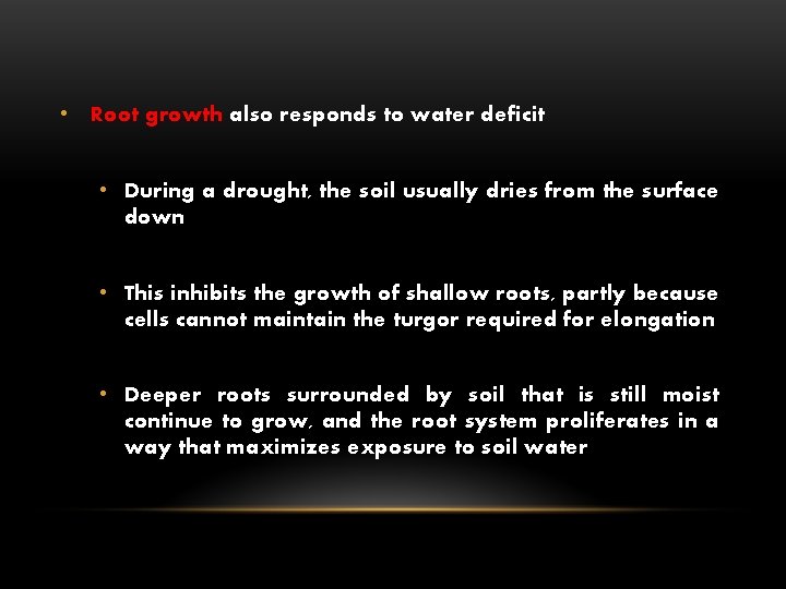  • Root growth also responds to water deficit • During a drought, the