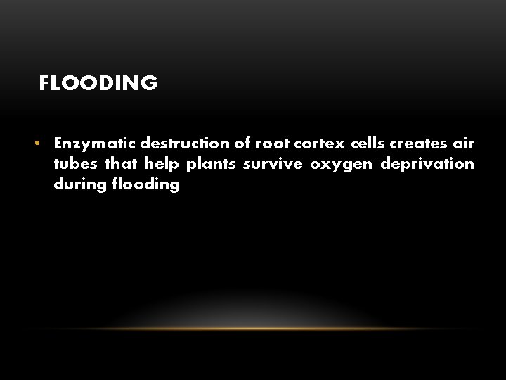 FLOODING • Enzymatic destruction of root cortex cells creates air tubes that help plants