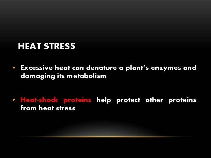 HEAT STRESS • Excessive heat can denature a plant’s enzymes and damaging its metabolism