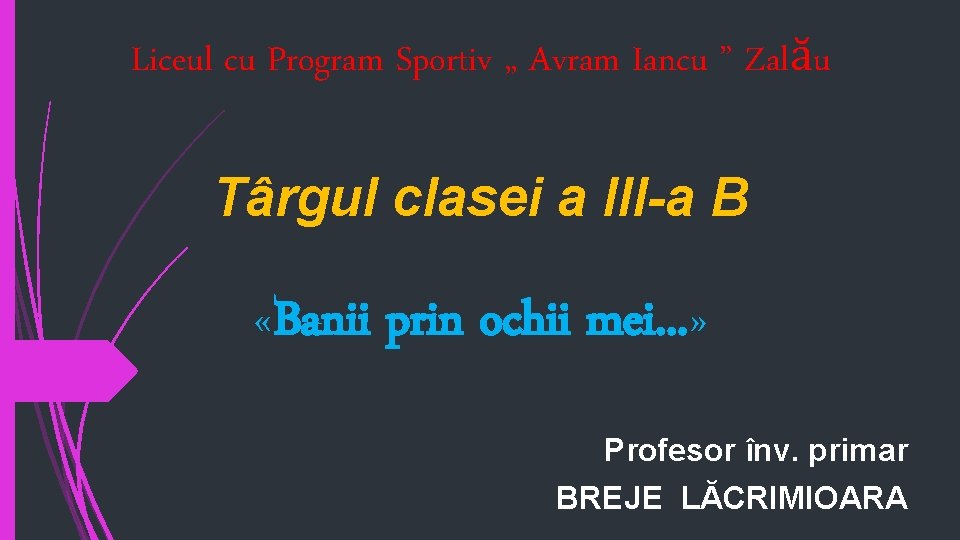 Liceul cu Program Sportiv „ Avram Iancu ” Zalău Târgul clasei a III-a B
