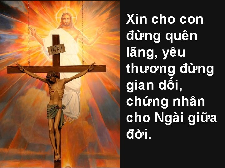 Xin cho con đừng quên lãng, yêu thương đừng gian dối, chứng nhân cho