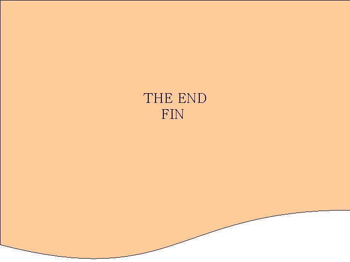 THE END FIN 