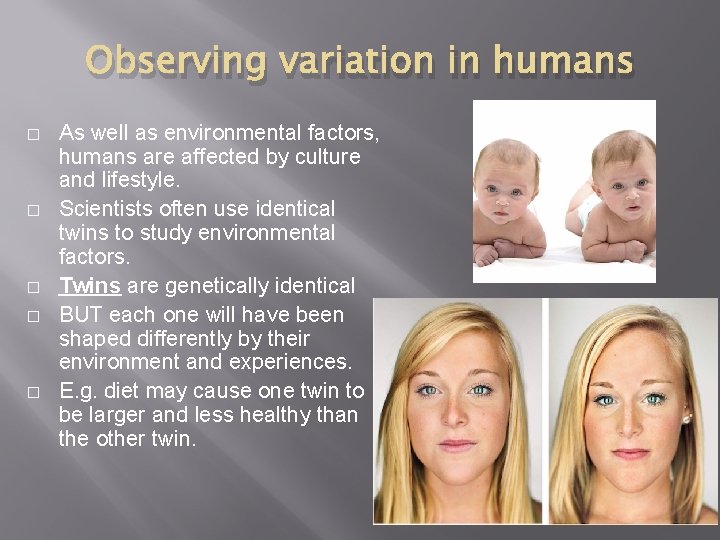 Observing variation in humans � � � As well as environmental factors, humans are