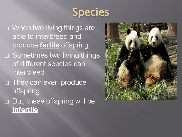 Species � � When two living things are able to interbreed and produce fertile
