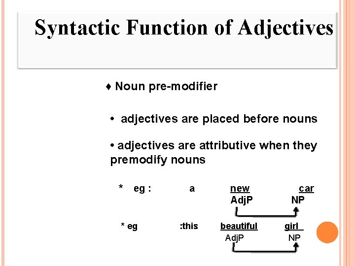 Syntactic Function of Adjectives ♦ Noun pre-modifier • adjectives are placed before nouns •