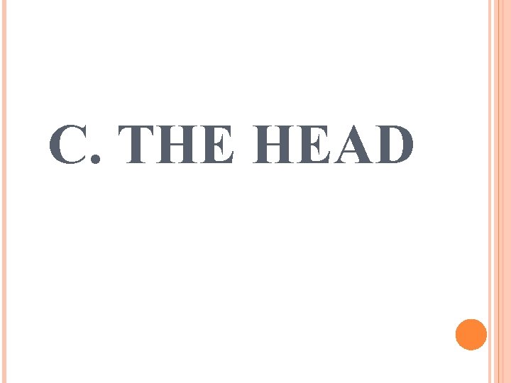 C. THE HEAD 