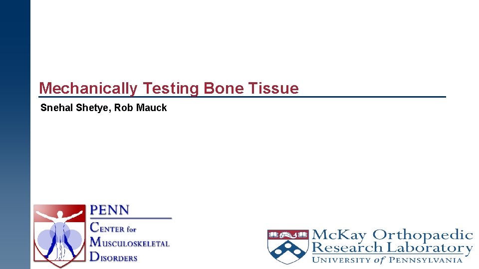 Mechanically Testing Bone Tissue Snehal Shetye, Rob Mauck 