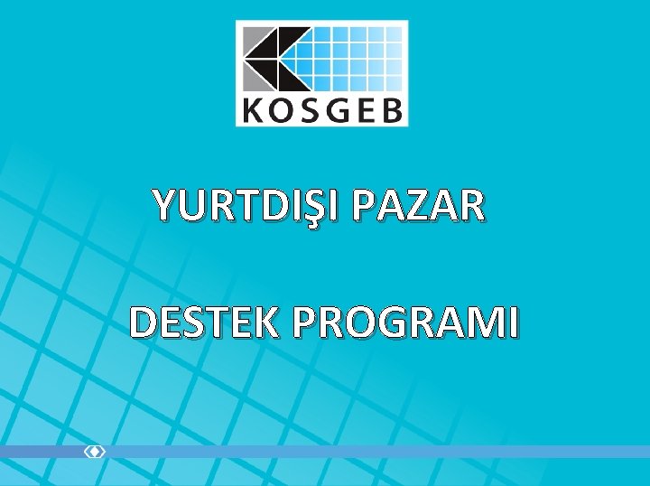 YURTDIŞI PAZAR DESTEK PROGRAMI 