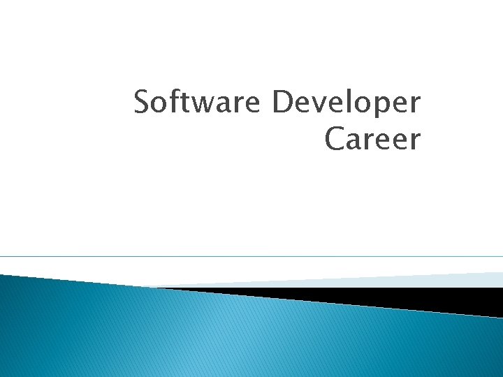Software Developer Career 