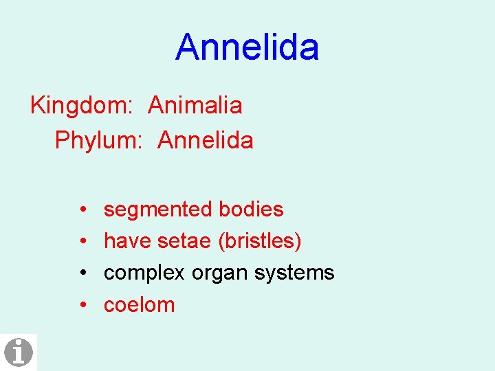 Annelida Kingdom: Animalia Phylum: Annelida • • segmented bodies have setae (bristles) complex organ