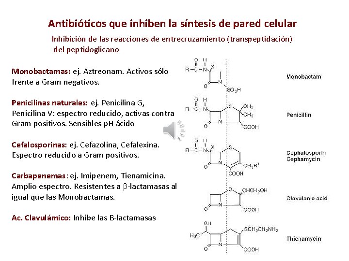 Antibióticos que inhiben la síntesis de pared celular Inhibición de las reacciones de entrecruzamiento