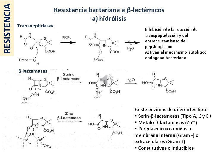RESISTENCIA Transpeptidasas Resistencia bacteriana a β-lactámicos a) hidrólisis PBPs Inhibición de la reacción de