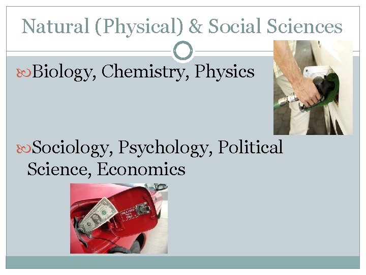 Natural (Physical) & Social Sciences Biology, Chemistry, Physics Sociology, Psychology, Political Science, Economics 