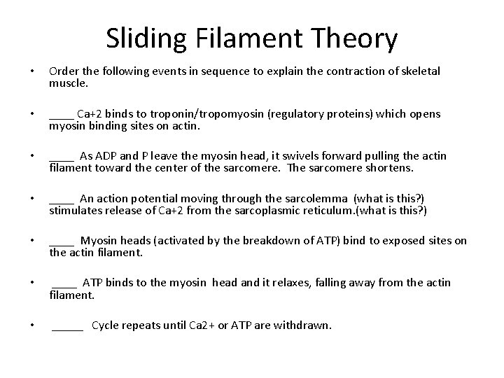 Sliding Filament Theory • Order the following events in sequence to explain the contraction