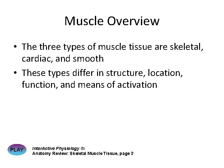 Muscle Overview • The three types of muscle tissue are skeletal, cardiac, and smooth