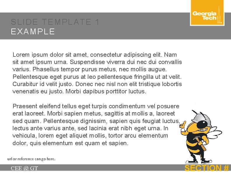 SLIDE TEMPLATE 1 EXAMPLE Lorem ipsum dolor sit amet, consectetur adipiscing elit. Nam sit