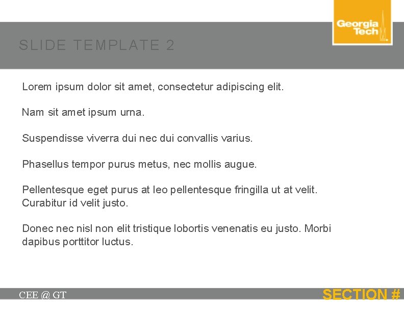 SLIDE TEMPLATE 2 Lorem ipsum dolor sit amet, consectetur adipiscing elit. Nam sit amet
