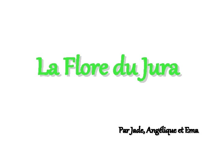 La Flore du Jura Par Jade, Angélique et Ema 