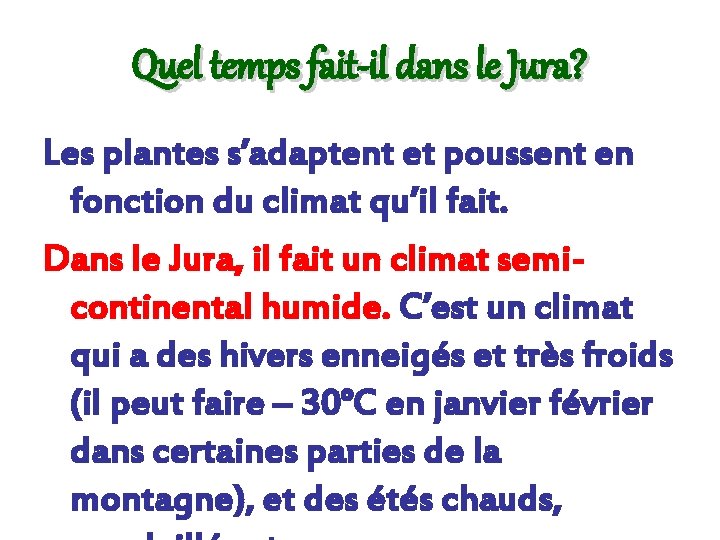 Quel temps fait-il dans le Jura? Les plantes s’adaptent et poussent en fonction du