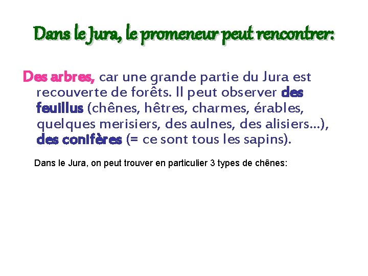 Dans le Jura, le promeneur peut rencontrer: Des arbres, car une grande partie du