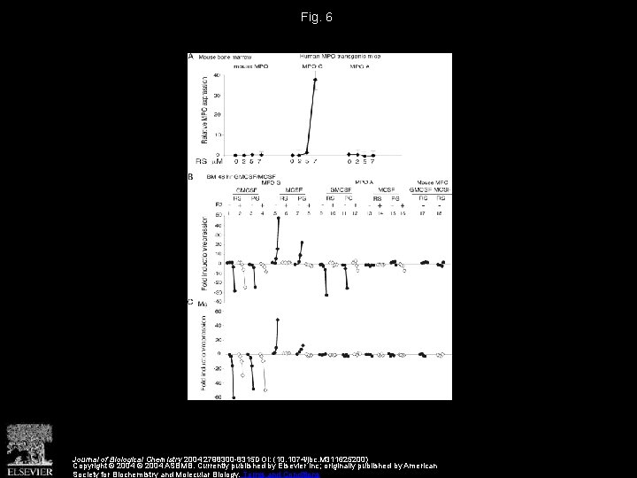 Fig. 6 Journal of Biological Chemistry 2004 2798300 -8315 DOI: (10. 1074/jbc. M 311625200)