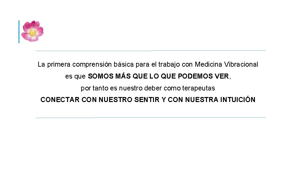 La primera comprensión básica para el trabajo con Medicina Vibracional es que SOMOS MÁS