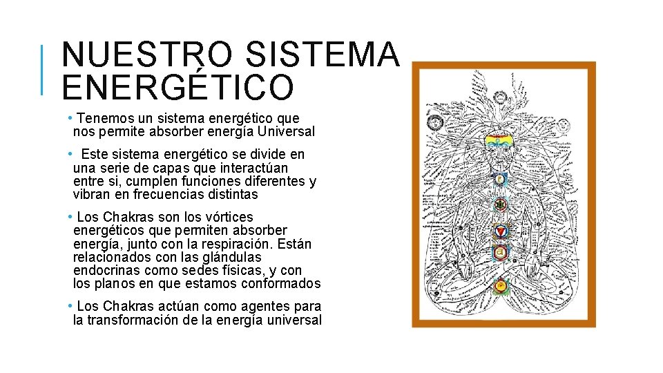 NUESTRO SISTEMA ENERGÉTICO • Tenemos un sistema energético que nos permite absorber energía Universal