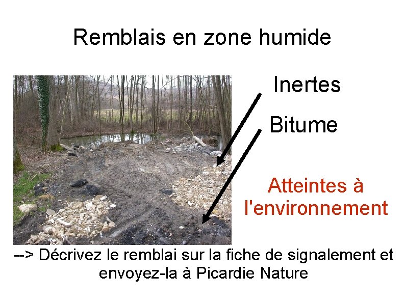 Remblais en zone humide Inertes Bitume Atteintes à l'environnement --> Décrivez le remblai sur