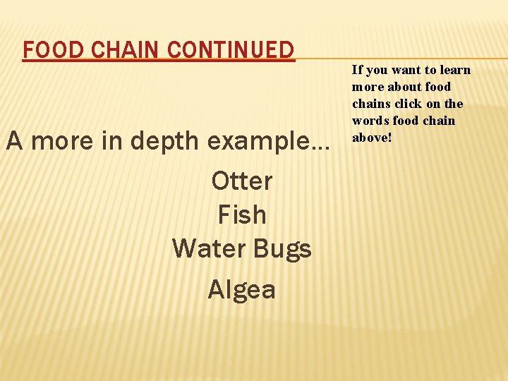 FOOD CHAIN CONTINUED A more in depth example… Otter Fish Water Bugs Algea If