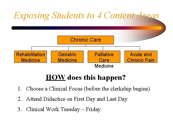 Exposing Students to 4 Content Areas Chronic Care Rehabilitation Medicine Geriatric Medicine Palliative Care