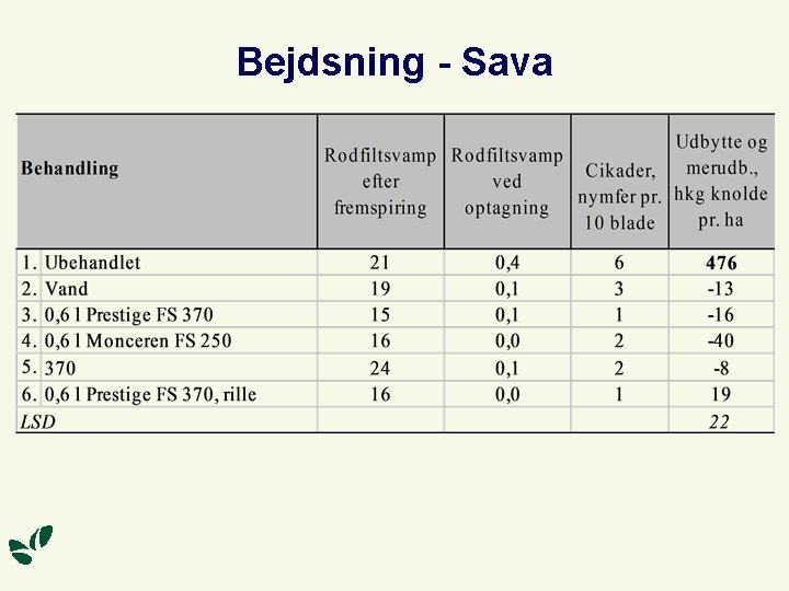 Bejdsning - Sava 