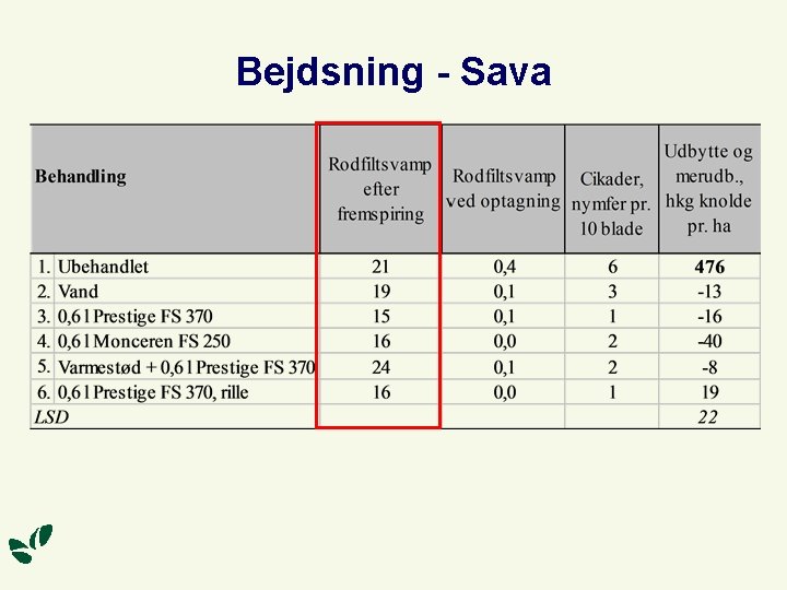 Bejdsning - Sava 