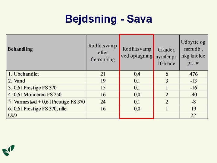 Bejdsning - Sava 