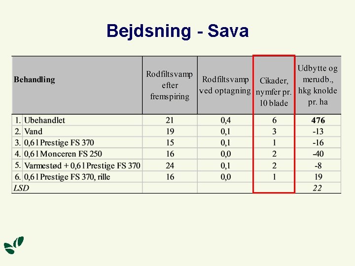 Bejdsning - Sava 