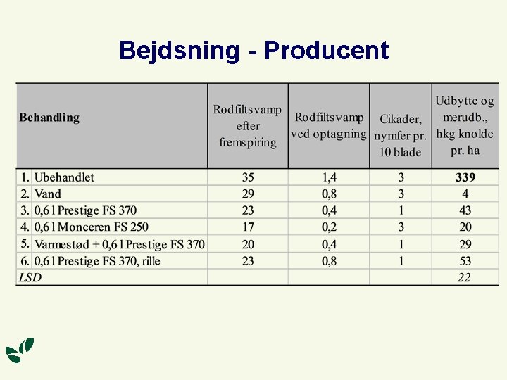 Bejdsning - Producent 